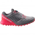 CHAUSSURES DYNAFIT ALPINE PRO POUR FEMMES