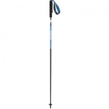 BÂTONS SALOMON PULSAR CARBON