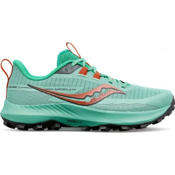 CHAUSSURES SAUCONY PEREGRINE 13 SPRING/CANOPY POUR FEMMES