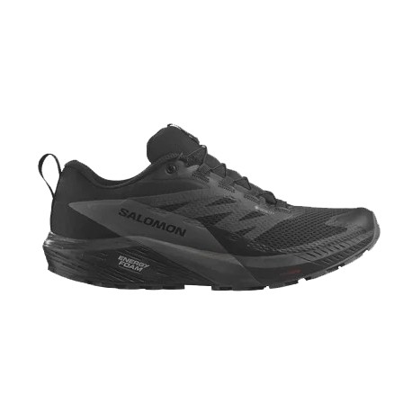 CHAUSSURES SALOMON SENSE RIDE 5 GTX POUR HOMMES