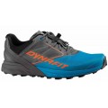 DYNAFIT ALPINE MAGNET/FROST FOR MEN'S