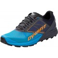 DYNAFIT ALPINE MAGNET/FROST FOR MEN'S