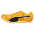 PUMA EVOSPEED STAR 8 SUN STREAM/SUNSET GLOW/BLACK UNISEX