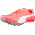 CHAUSSURES PUMA EVOSPEED SPRINT 10 IGNITE PINK/SILVER POUR FEMMES