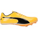 PUMA EVOSPEED SPRINT 14.5 SUN STREAM/BLACK/WHITE UNISEX