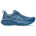 CHAUSSURES ASICS NOVABLAST 5 WINTER SEA/STILWATER POUR HOMMES