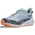 HOKA SPEEDGOAT 6 GTX JADE/ASH GREY FOR WOMEN'S