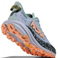 CHAUSSURES HOKA SPEEDGOAT 6 GTX JADE/ASH GREY POUR FEMMES