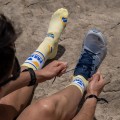 BV SPORT TRAIL ULTRA SOCKS COLLECTOR NUTRI PASTAGA UNISEX