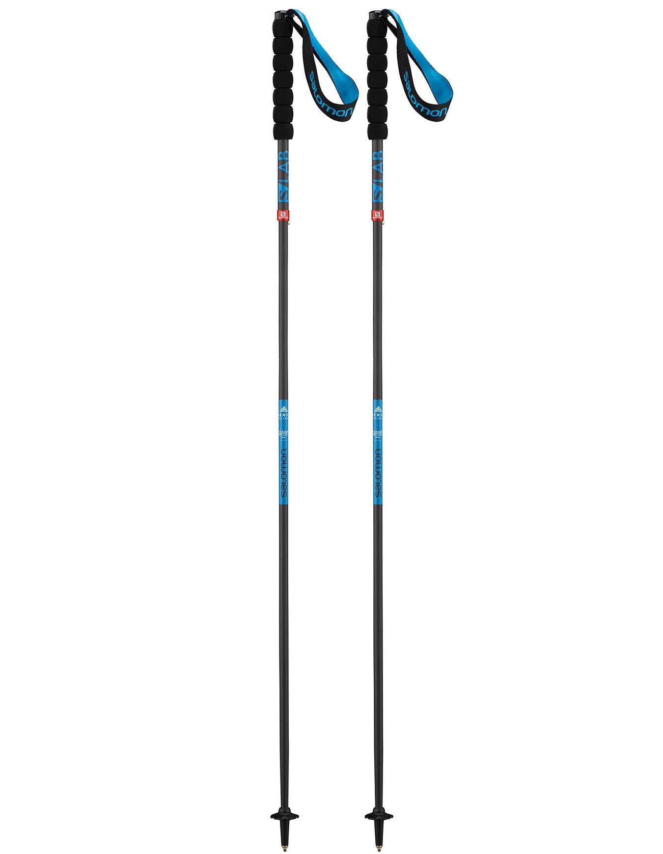 salomon s lab poles